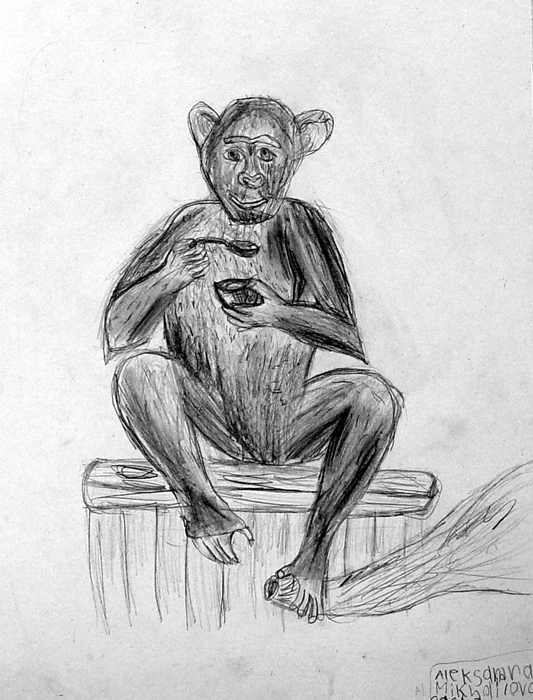 Monkey