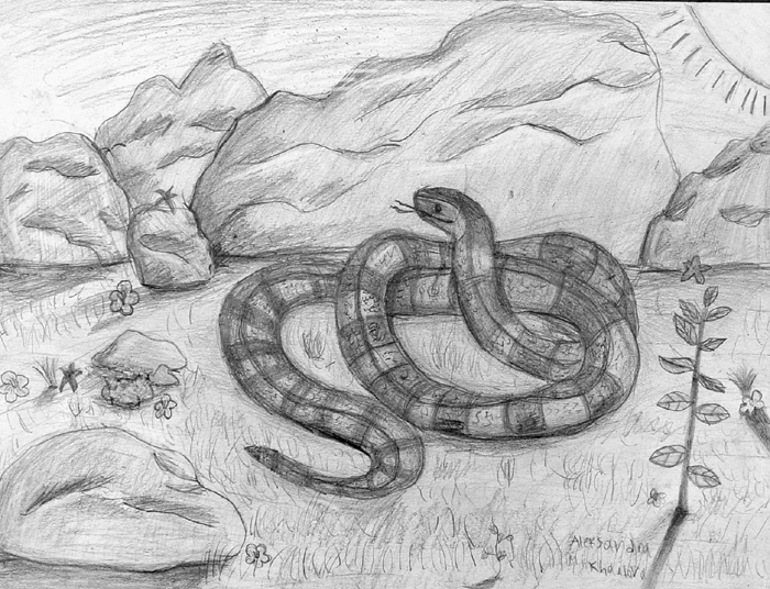 Snake