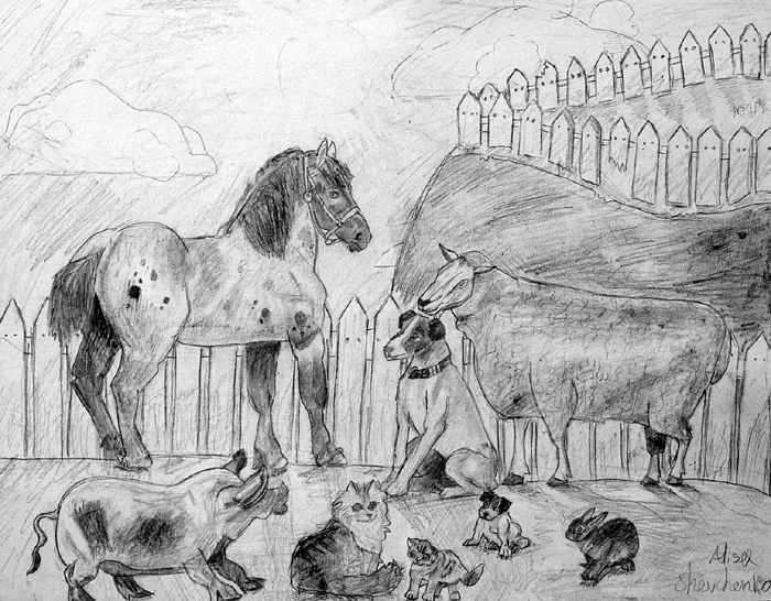 Animals_1
