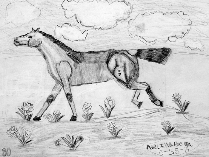 Horse