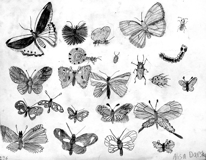Insects