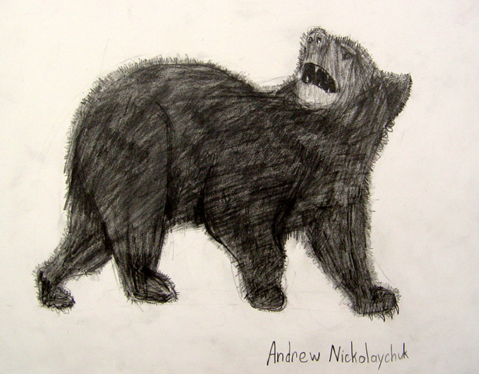 Bear