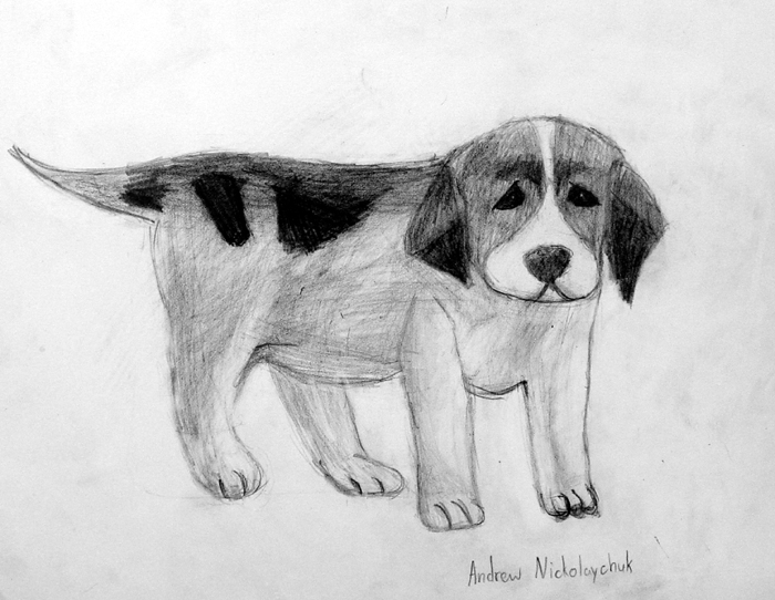 Dog