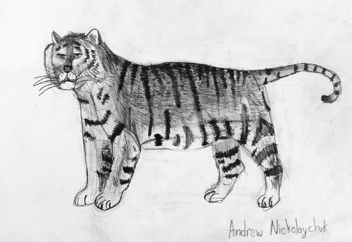 Tiger
