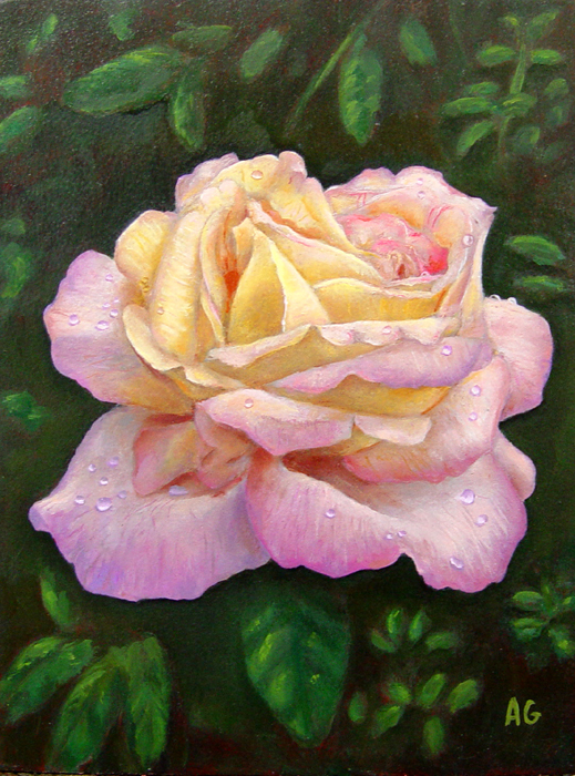 A rose._Oil_on_panel