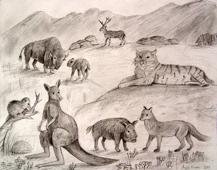 Animals_1