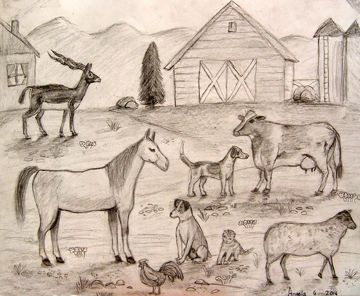 Animals_2