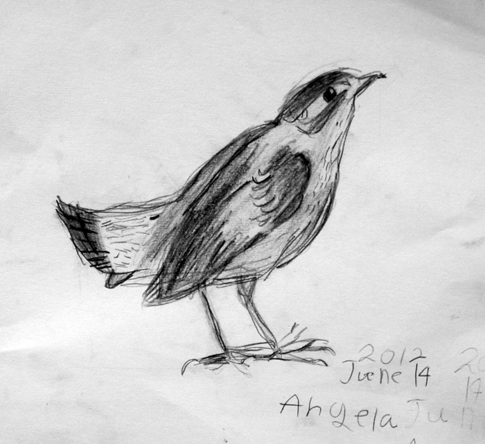 Bird_2