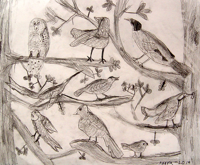 Birds_2
