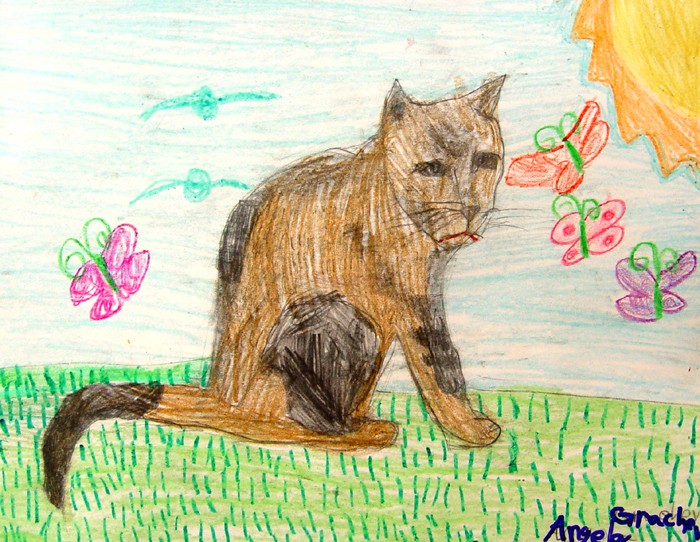 Cat_2