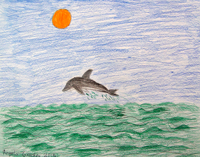 Dolphin