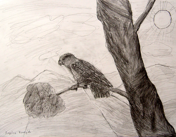 Bird