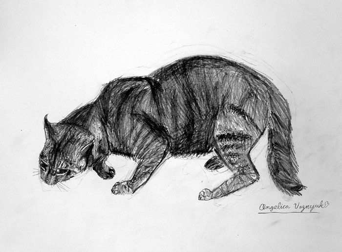 Bobcat