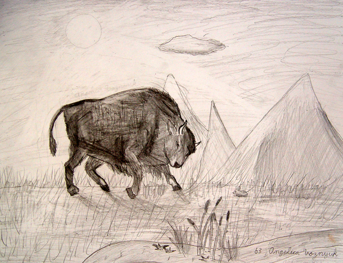 Bull