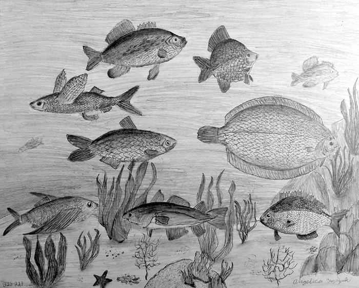 Fish_2