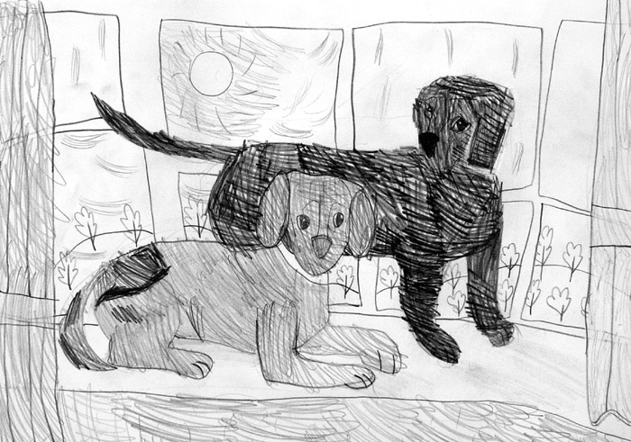 Dogs