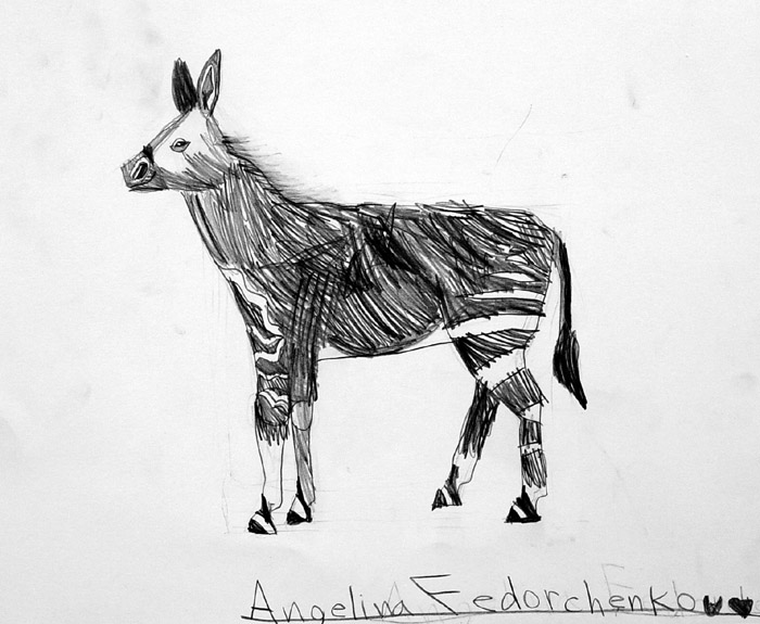 Okapi