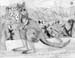 Kangaroo