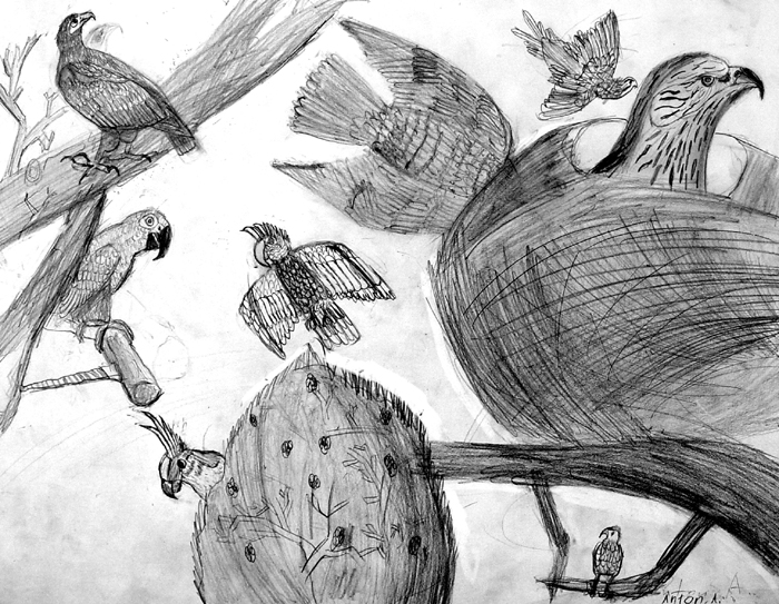 Birds