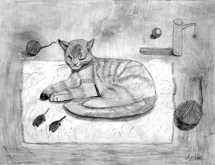 Cat_2