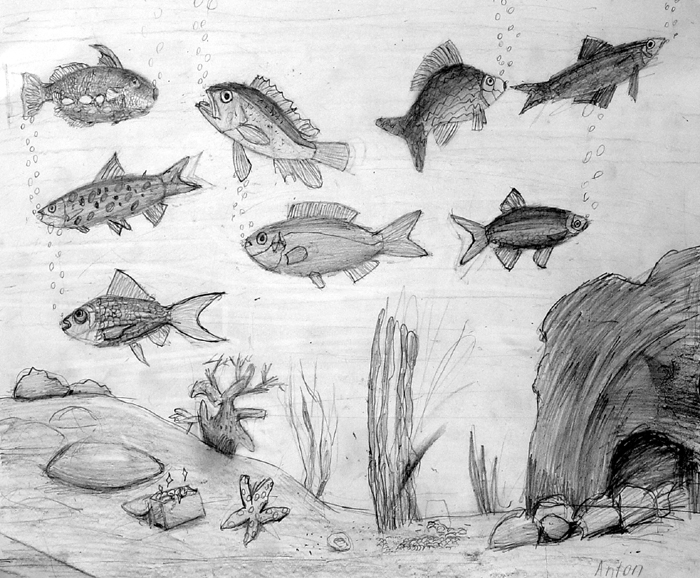 Fish