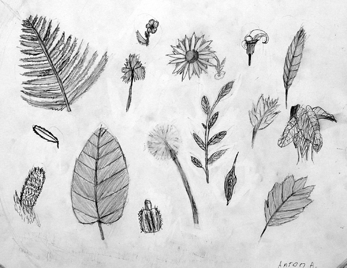 Sketches