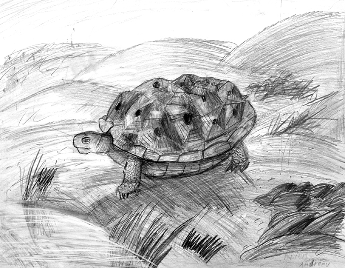 Turtle