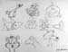 Line_drawing_4