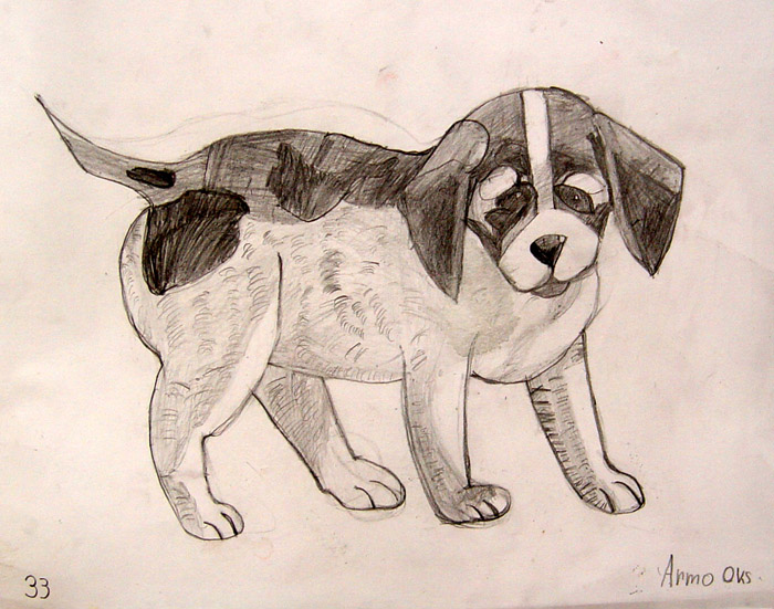 Dog
