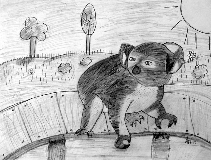 Koala