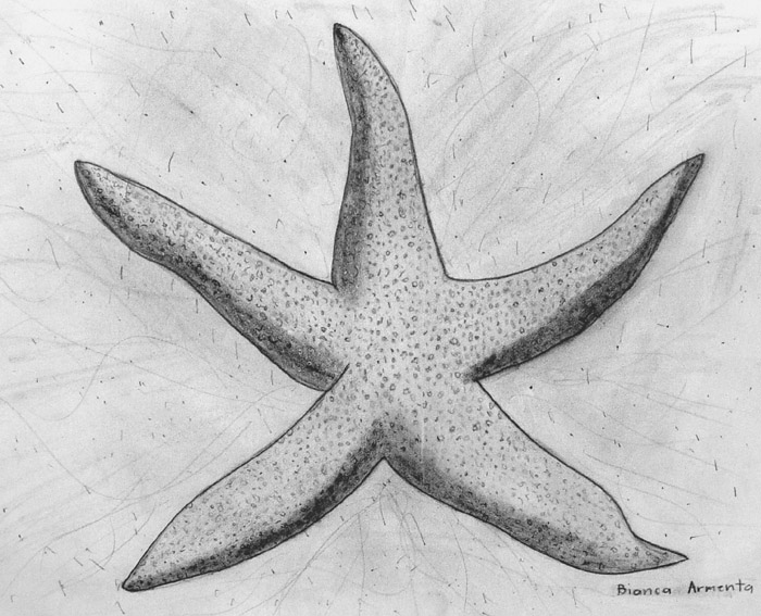 Starfish