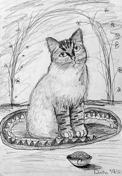 Cat