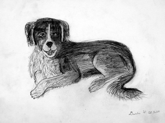 Dog_2