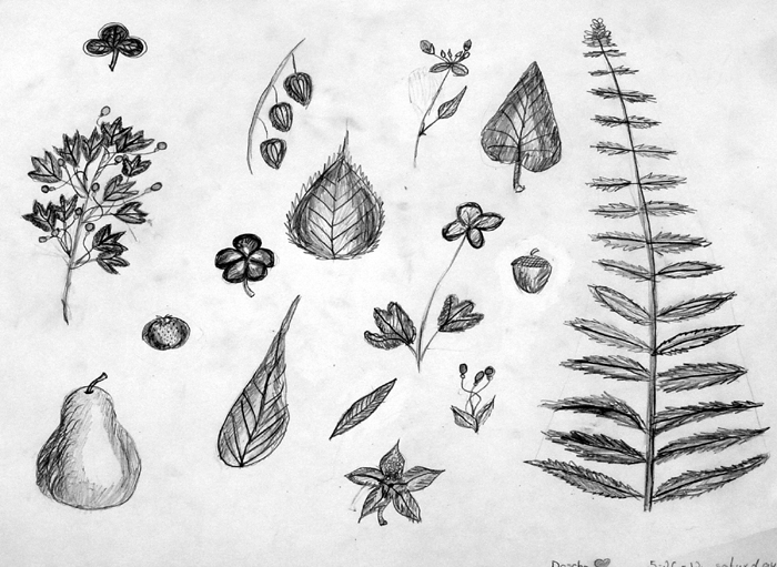 Sketches_2