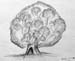 Tree_2