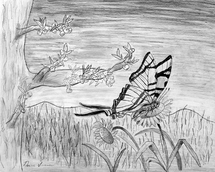 Butterfly