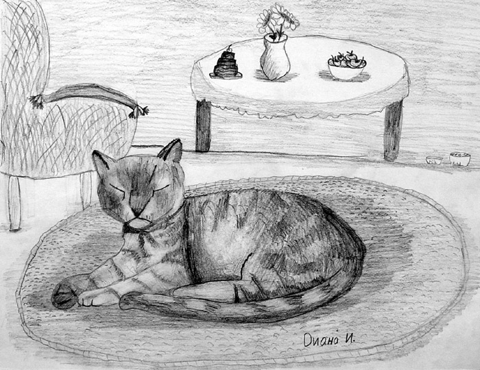Cat