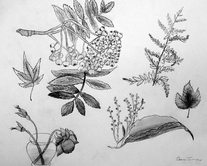Sketches