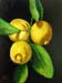 Still-life_1_(study)
