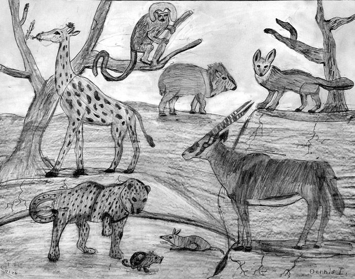 Animals_1
