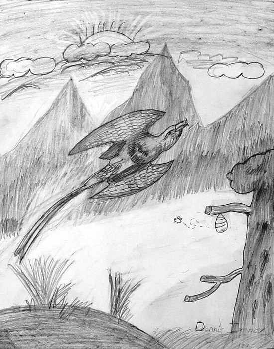 Bird_2