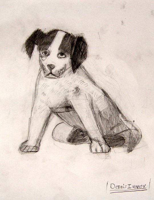 Dog