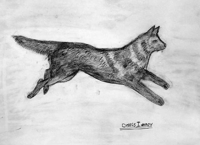 Wolf