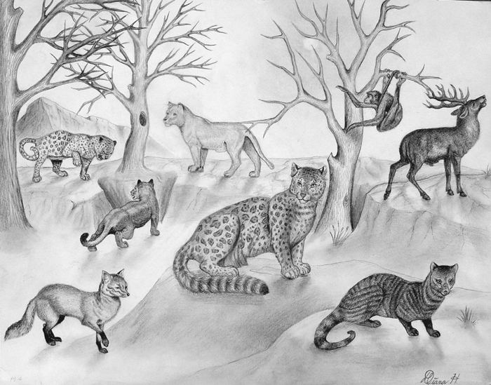 Animals_1