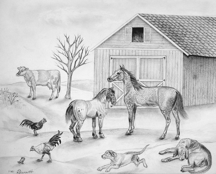 Animals_2