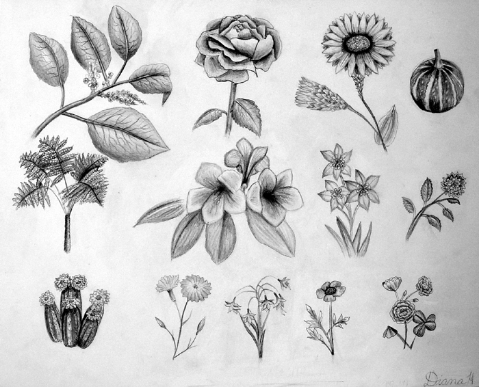 Sketches