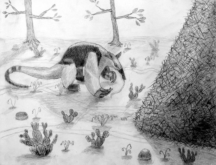 Anteater