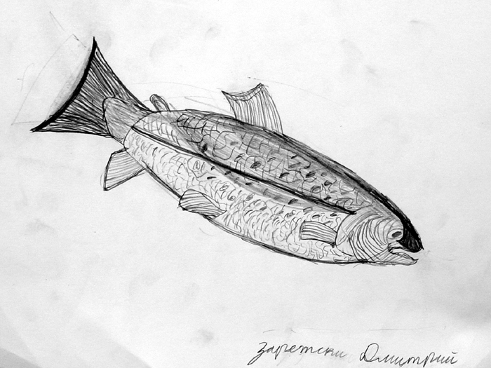 Fish