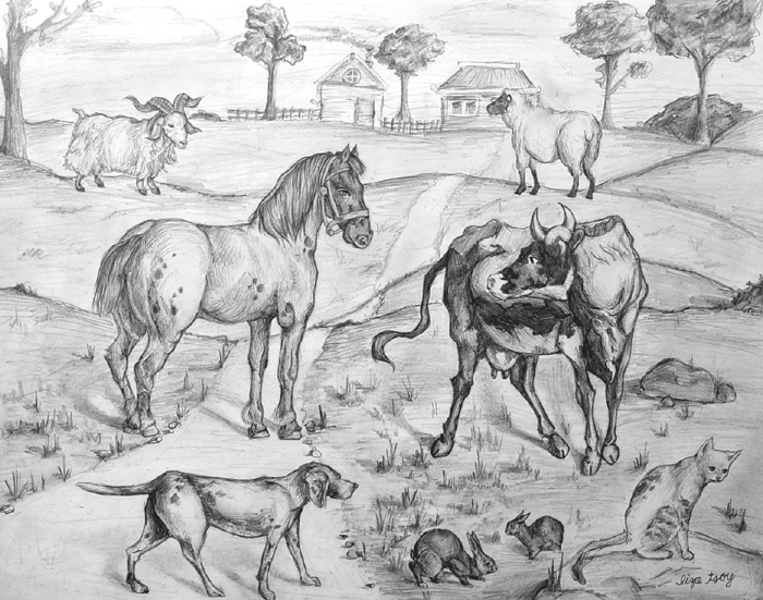 Animals_2