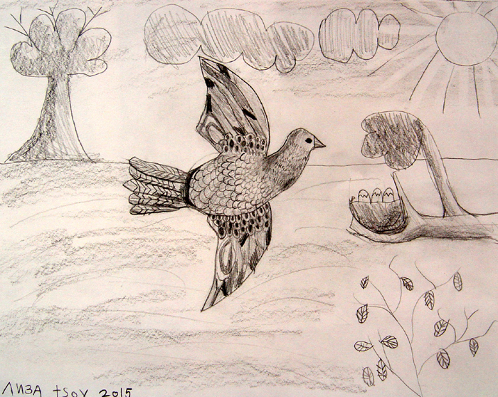 Bird